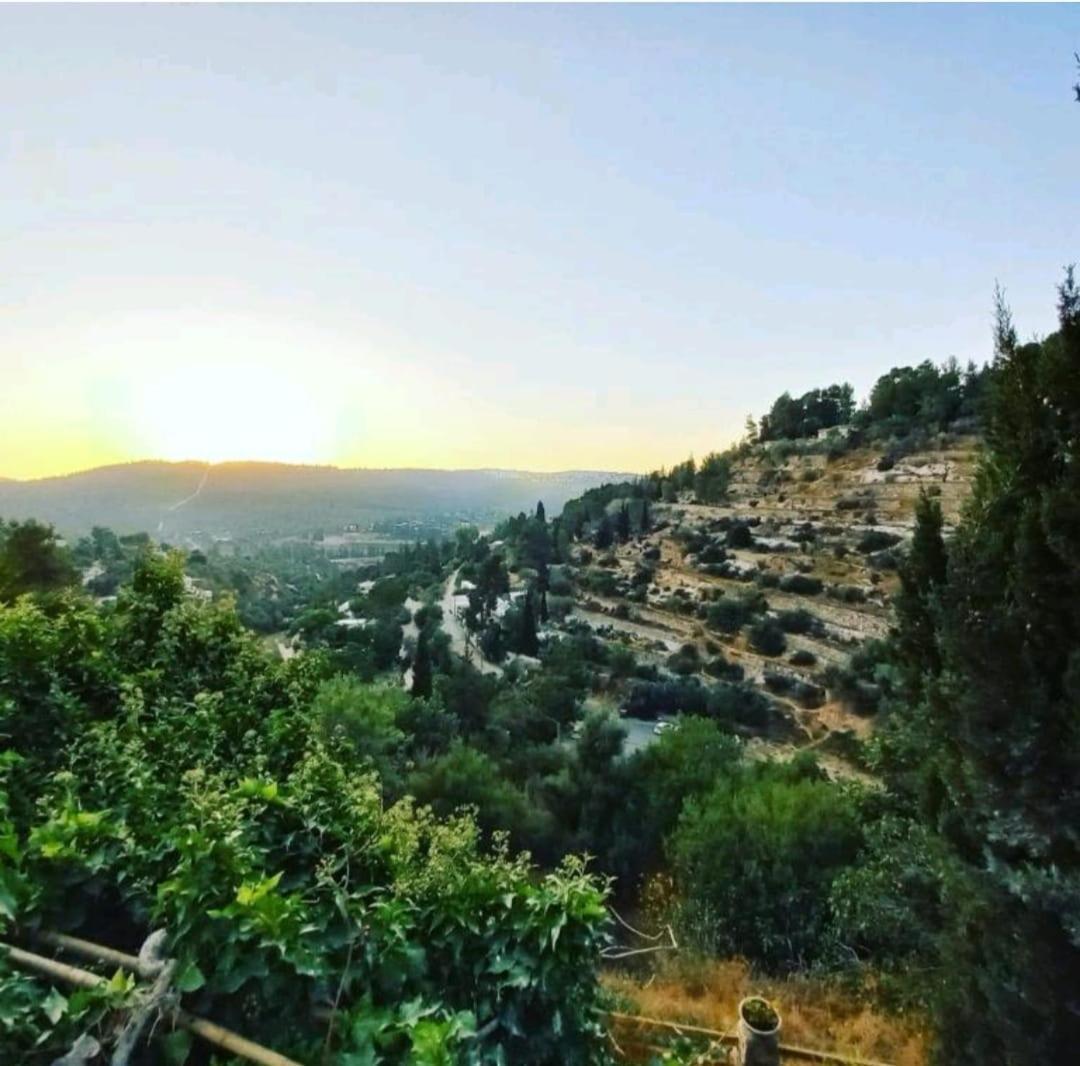 מלון ירושלים נוף על הוואדי חדר תמונה
