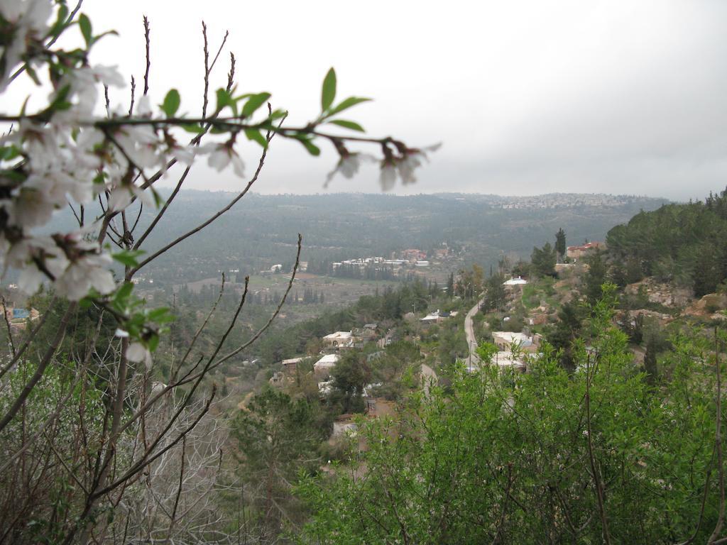מלון ירושלים נוף על הוואדי מראה חיצוני תמונה